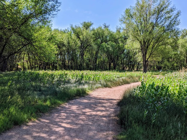 A dirt path leads away from the viewer through a grassy field with trees in the background.